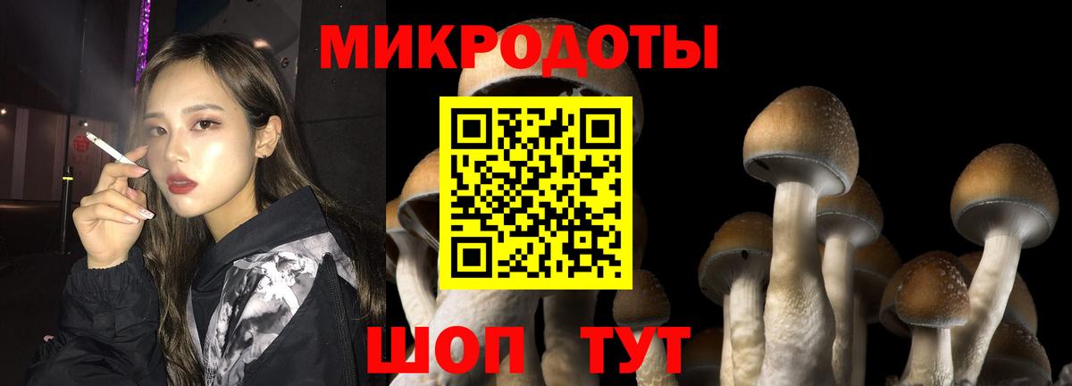 Псилоцибиновые грибы прущие грибы  Вход с VPN  Канаш 